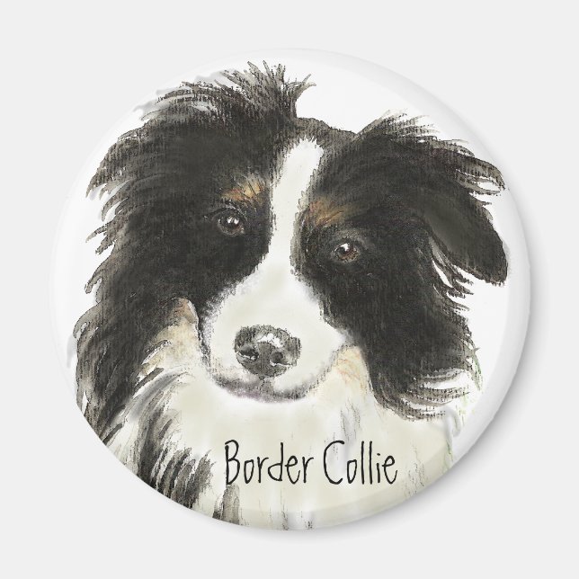 Íman Border Collie Dog o (Frente)