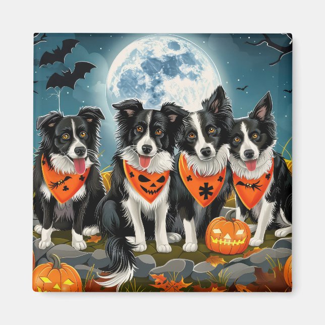 Íman Border Collie Halloween Assustador (Frente)