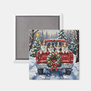 Íman Border Collie Natal Caminhão Vermelho Férias