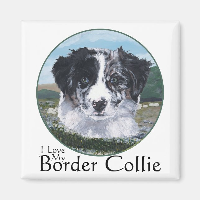 Íman Border Collie no Trabalho (Frente)
