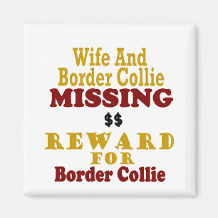 Íman Border collie & recompensa faltante da esposa para