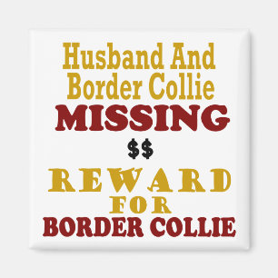 Íman Border collie & recompensa faltante do marido para