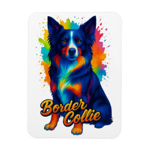 Íman Border Collie Vibrante Pop Art