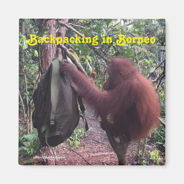 Íman Borneo Orangutan de mochila (Frente)
