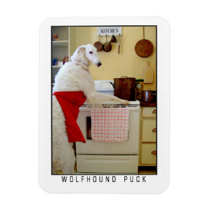Íman Borzoi Lebrel Russo "Lebrel Puck" Cão