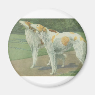 Íman Borzoi (Wolfhound do russo)