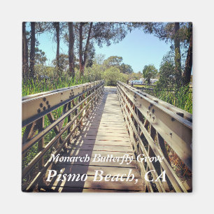 Íman Bosque da borboleta de monarca: Praia de Pismo, CA