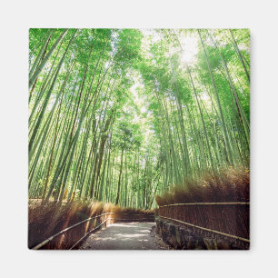 Íman Bosque de bambu   Arashiyama, Kyoto, Japão