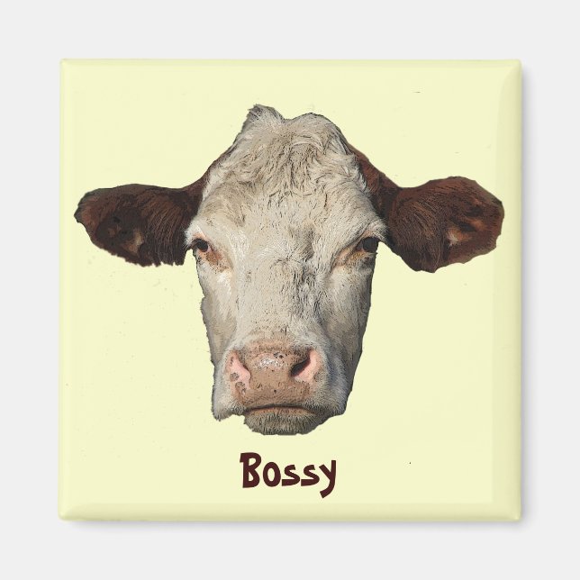 Íman Bossy, a vaca (Frente)