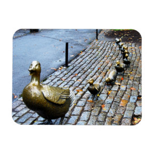 Íman Boston - Abram Caminho Para Ducklings