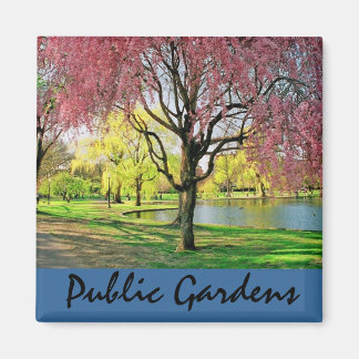 Íman Boston Common Magnet