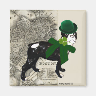 Íman Boston Irish Magnet