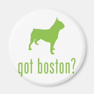 Íman Boston Terrier
