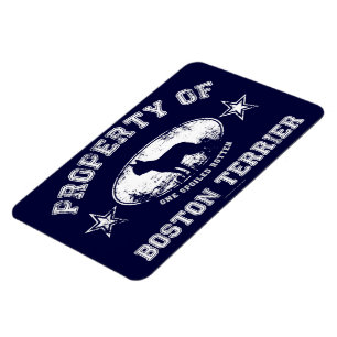 Íman Boston Terrier