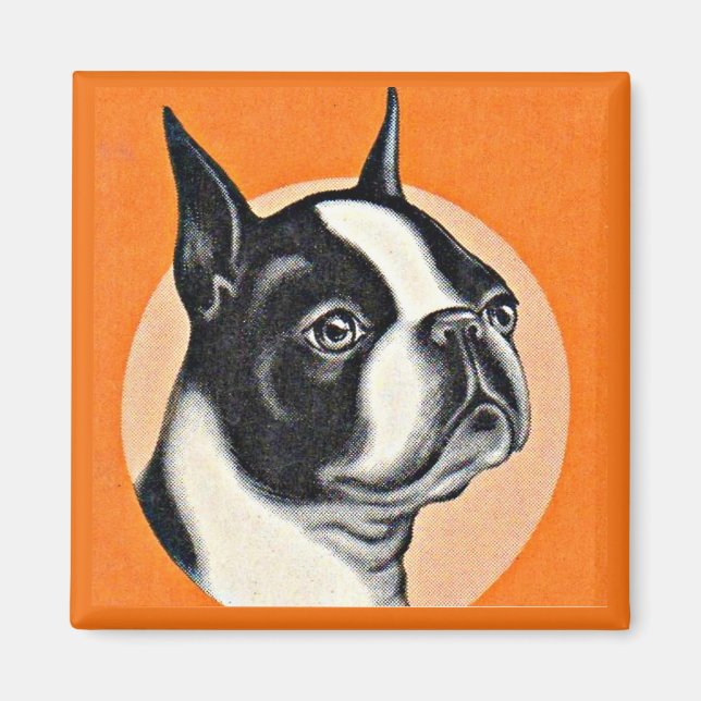 Íman Boston terrier (Frente)