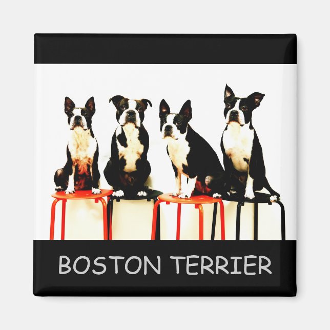 ÍMAN BOSTON TERRIER (Frente)