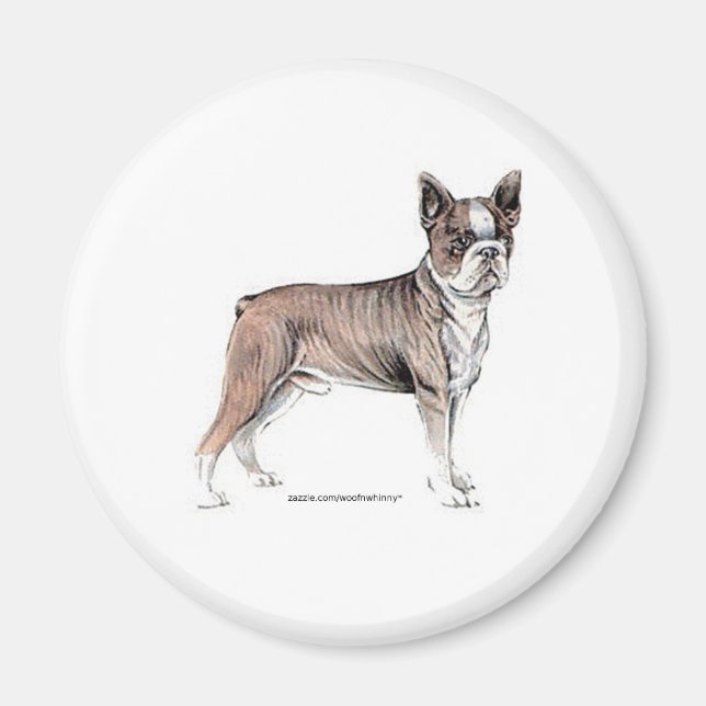 Íman Boston Terrier (Frente)