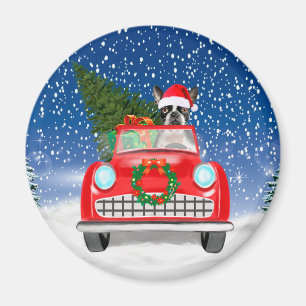 Íman Boston terrier Cão Dirigindo Carro Na Neve Natal