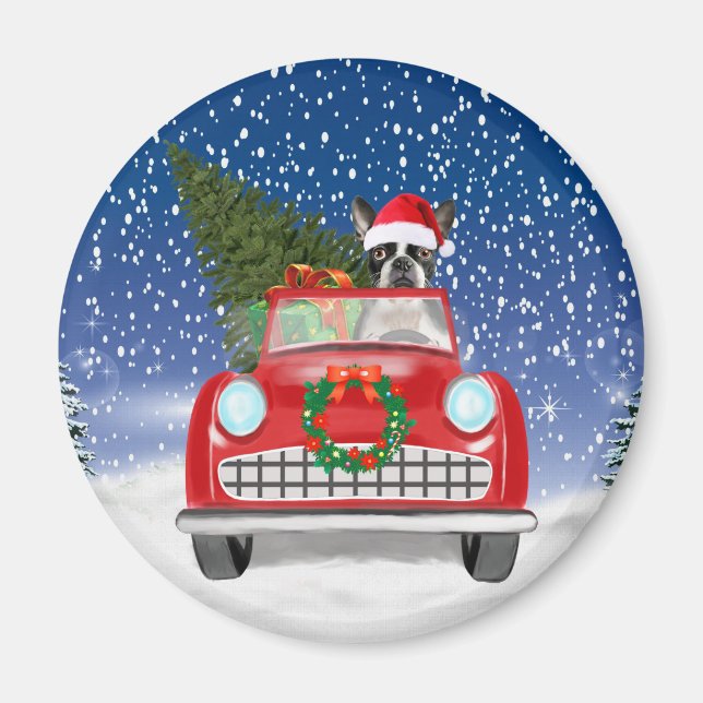 Íman Boston terrier Cão Dirigindo Carro Na Neve Natal (Frente)