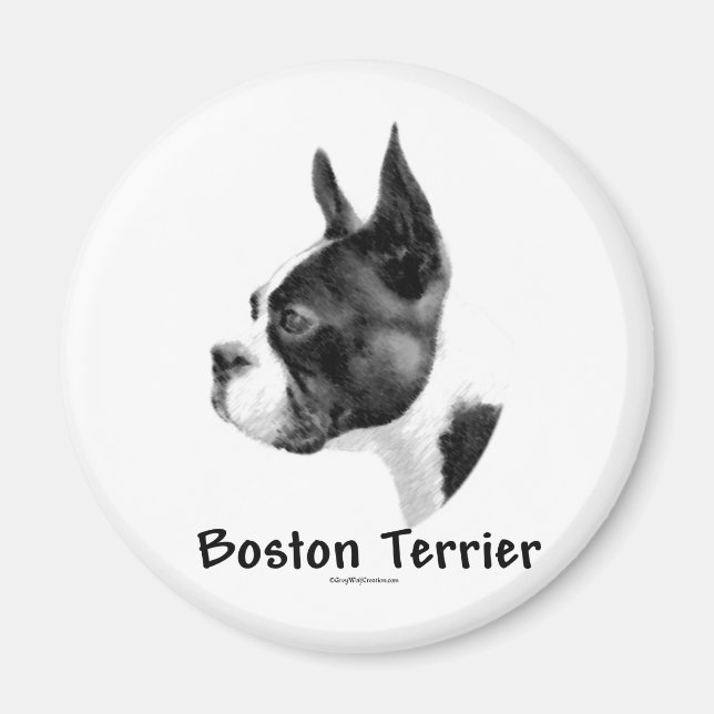 Íman Boston Terrier Charcar 2 - Magnet (Frente)