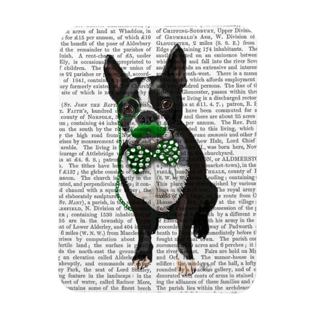 Íman Boston Terrier com bigode verde e safado (Vertical)