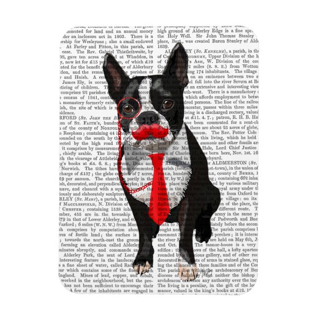 Íman Boston Terrier com Red Tie e bigode 2 (Vertical)