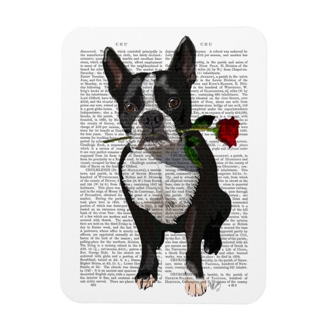 Íman Boston Terrier com Rosa em Boca (Vertical)