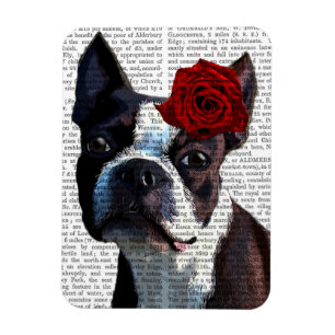Íman Boston Terrier com Rosa na cabeça