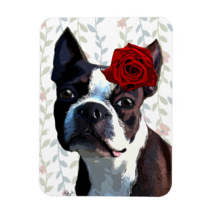 Íman Boston Terrier com Rosa na Cabeça 2