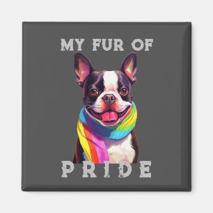 Íman Boston Terrier Dog Rainbow Engraçado Meu Orgulho D