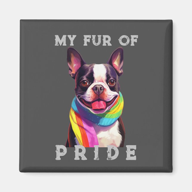 Íman Boston Terrier Dog Rainbow Engraçado Meu Orgulho D (Frente)