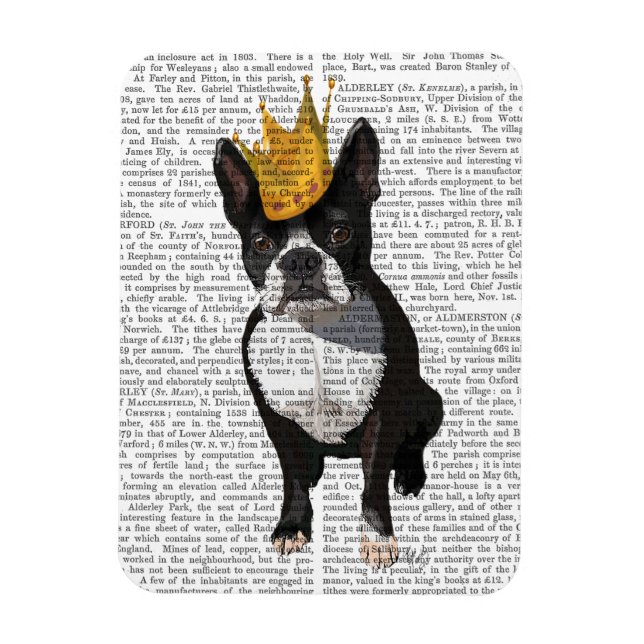 Íman Boston Terrier E Crown (Vertical)
