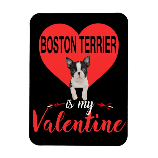 Íman Boston Terrier é o meu presente de Namorados (Vertical)