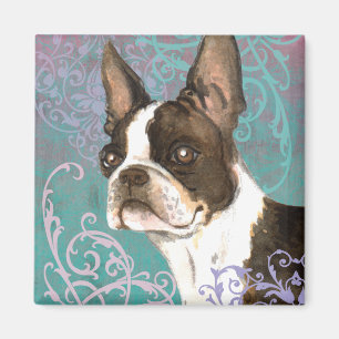 Íman Boston Terrier elegante