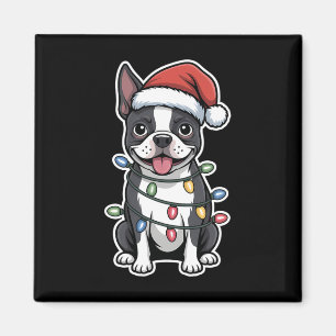 Íman Boston Terrier embrulhada em luzes de Natal
