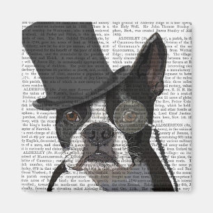 Íman Boston Terrier, Formal Hound e Chapéu