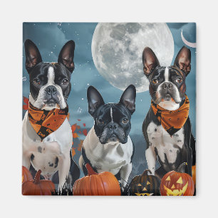 Íman Boston Terrier Halloween Assustador