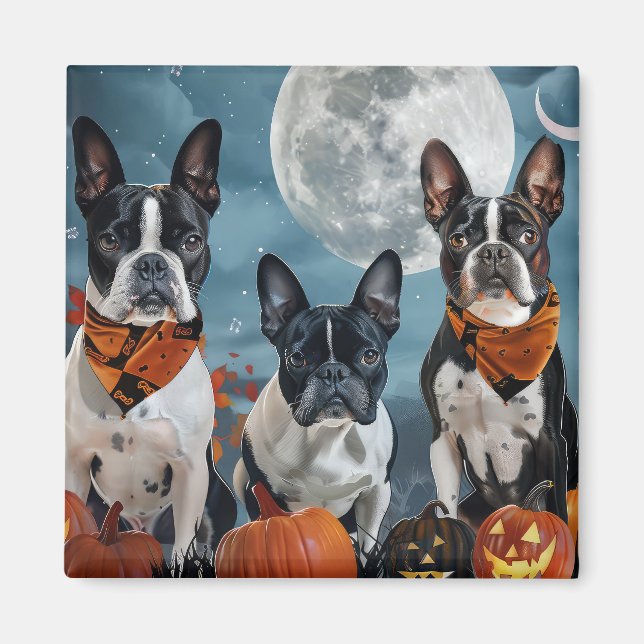 Íman Boston Terrier Halloween Assustador (Frente)