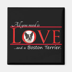 Íman Boston Terrier Love Magnet