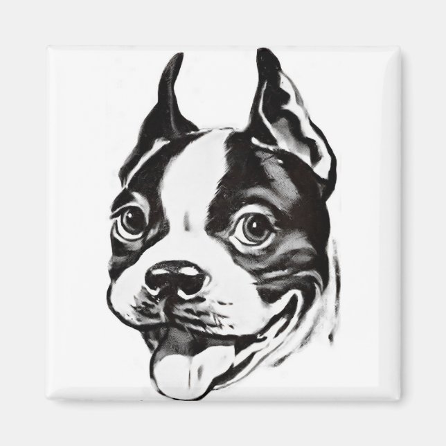 Íman Boston Terrier Magnet (Frente)