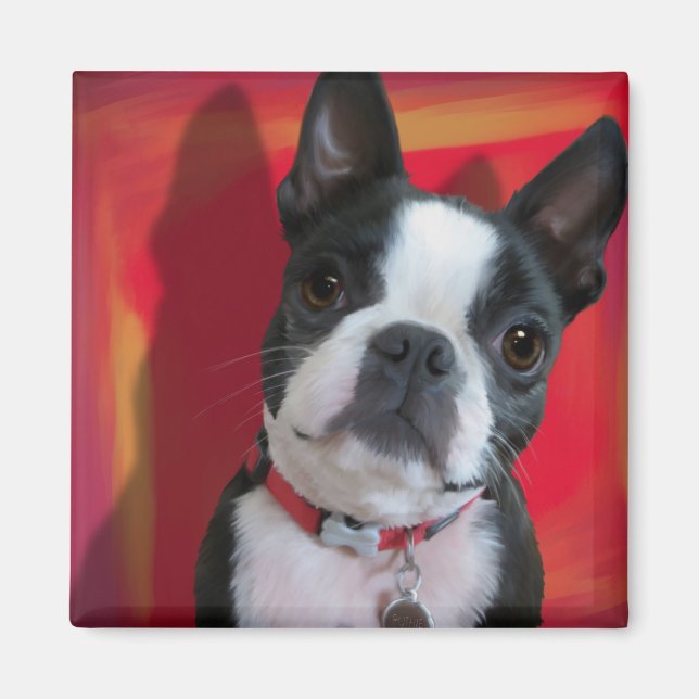 Íman Boston Terrier Magnet (Frente)