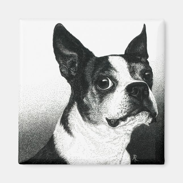 Íman Boston Terrier Magnet - "Boston Style" (Frente)
