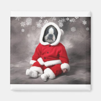 ÍMAN BOSTON TERRIER NA SAÍDA XMAS