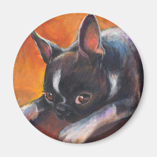 Íman Boston Terrier pintando cachorro Svetlana Novikova