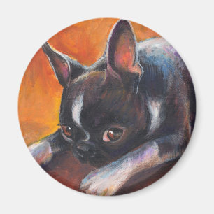 Íman Boston Terrier que pinta o cão Svetlana Novikova