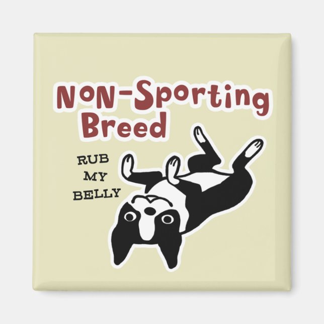 Íman Boston Terrier "Raça não desportiva" (Frente)