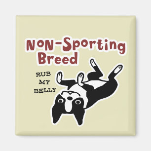 Íman Boston Terrier "Raça Não Esportiva"