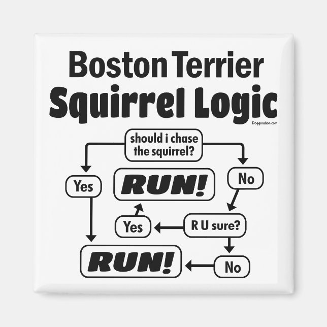 Íman Boston Terrier Squirrel Logic (Frente)