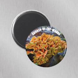 Íman Botânica Chicken-of-Woods Mushroom