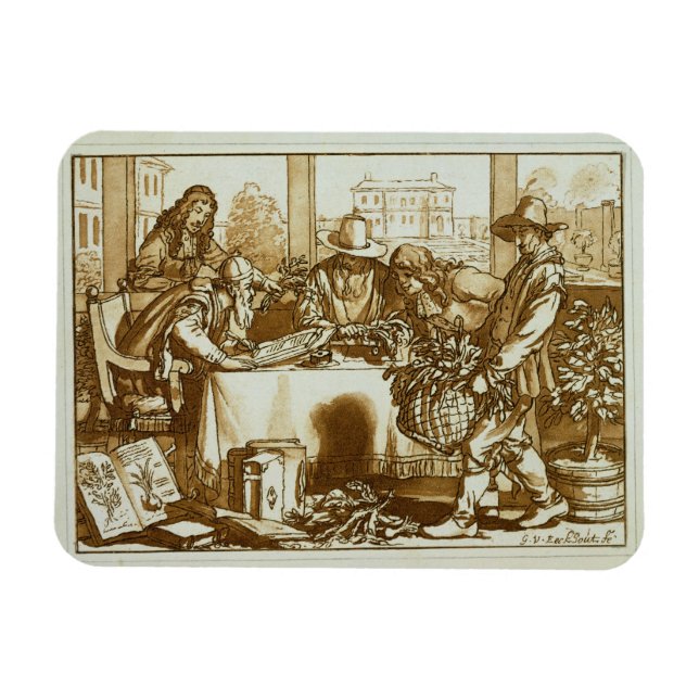 Íman Botânicos examinando plantas (lito) (Horizontal)